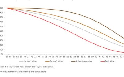 Longevity and Survival Probability In Retirement Income Modelling